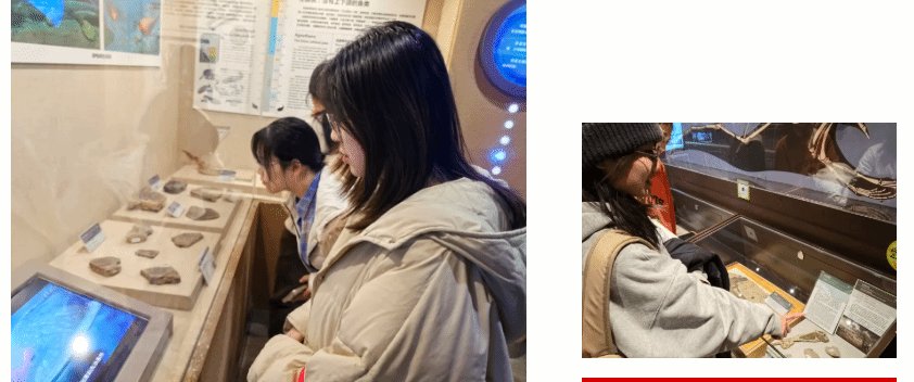 古生态学以及生命演化历程的了解